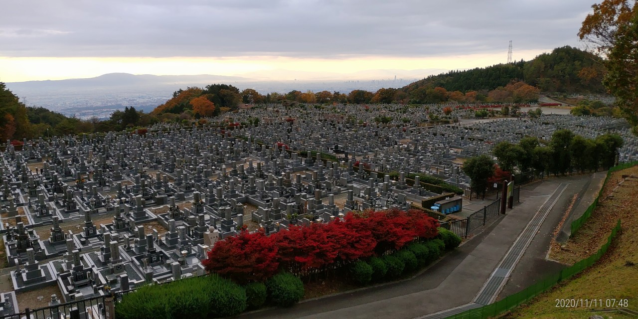 11区1番墓所から園内（南）風景