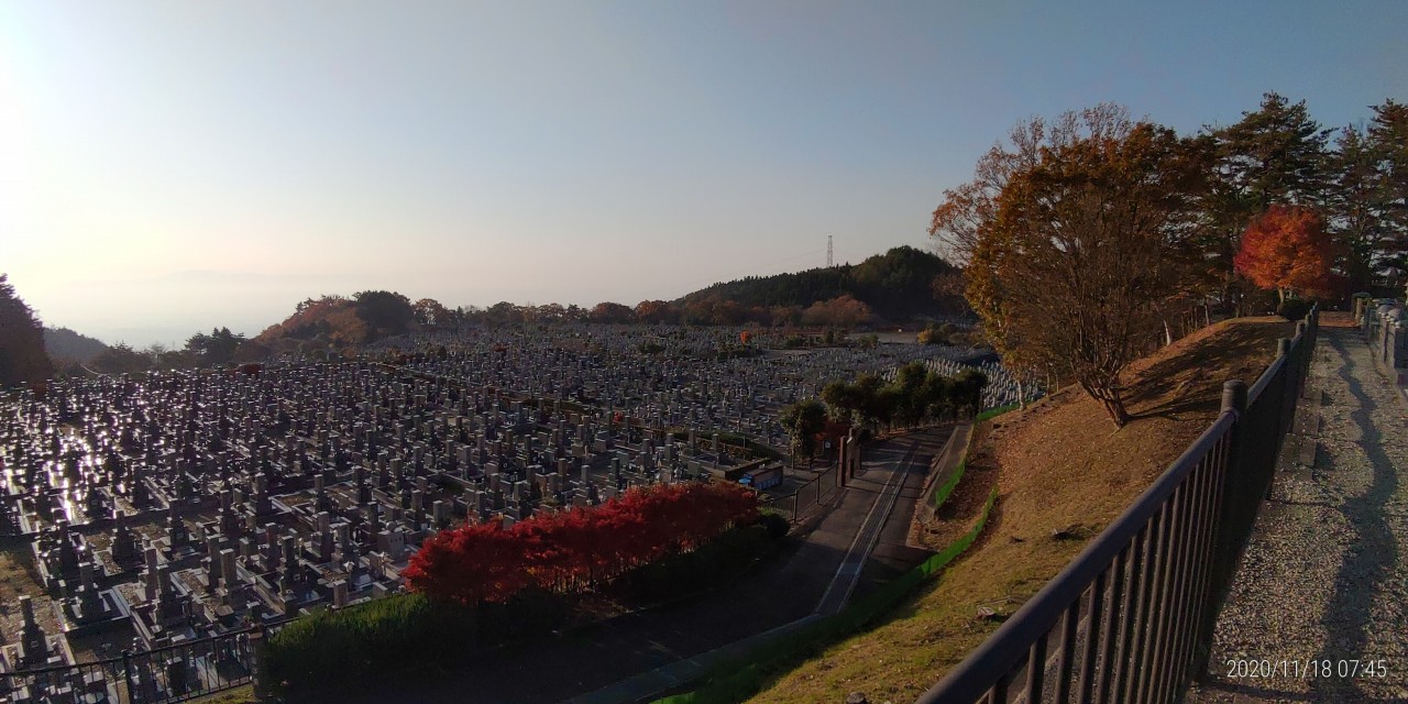 11区1番墓所から園内（南）風景