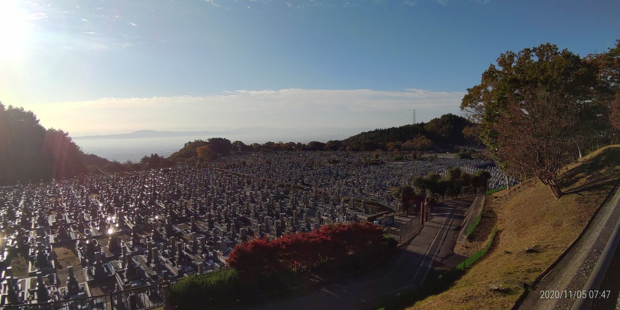 11区1番墓所から園内（南）風景