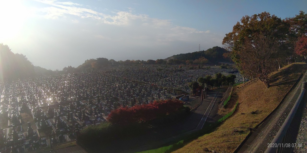 11区1番墓所から園内（南）風景