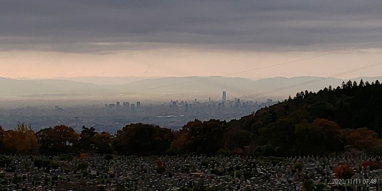 11区1番墓所から園内（南）拡大