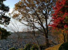 11区1番墓所から園内（紅葉）風景