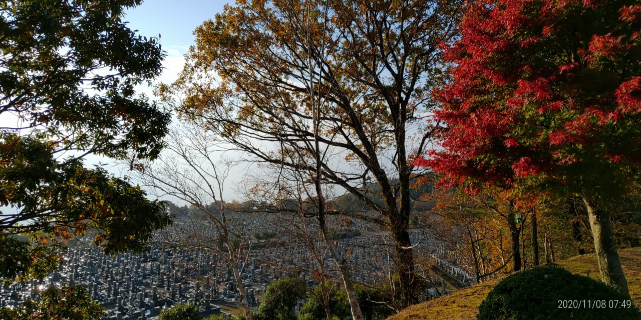 11区1番墓所から園内（紅葉）風景