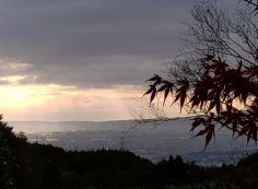 11区1番墓所から園内（南）拡大