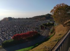 11区1番墓所から園内（南）風景