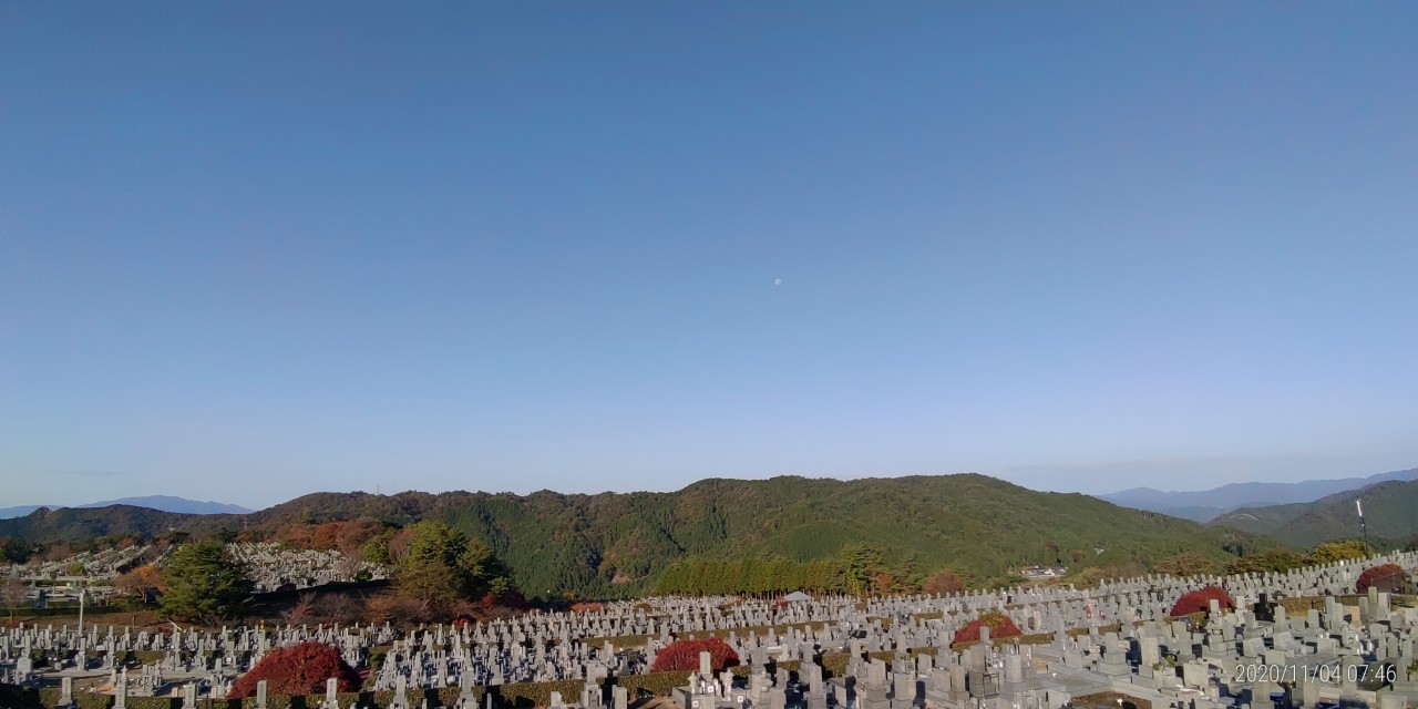 11区7番墓所から園内（西）風景