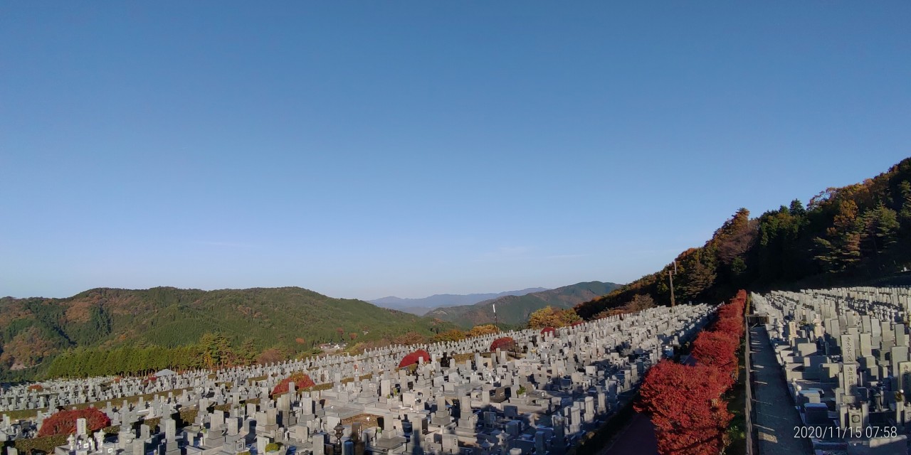 11区7番墓所から園内（北）風景