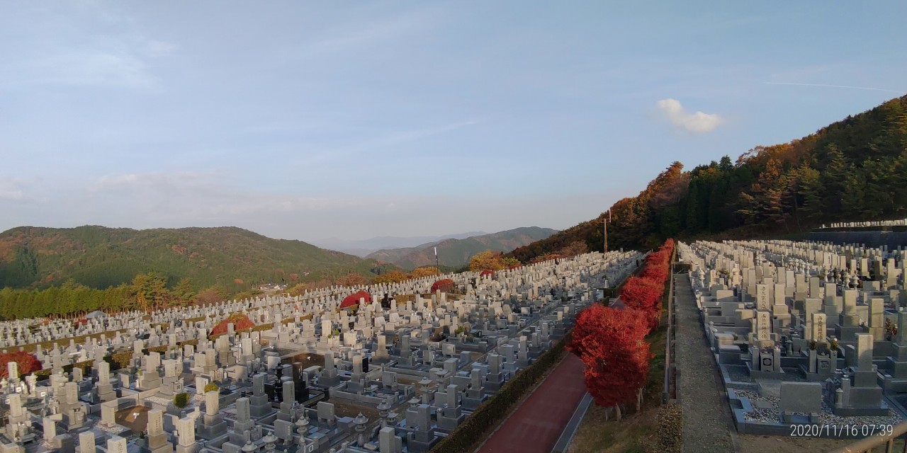 11区7番墓所から園内（北）風景