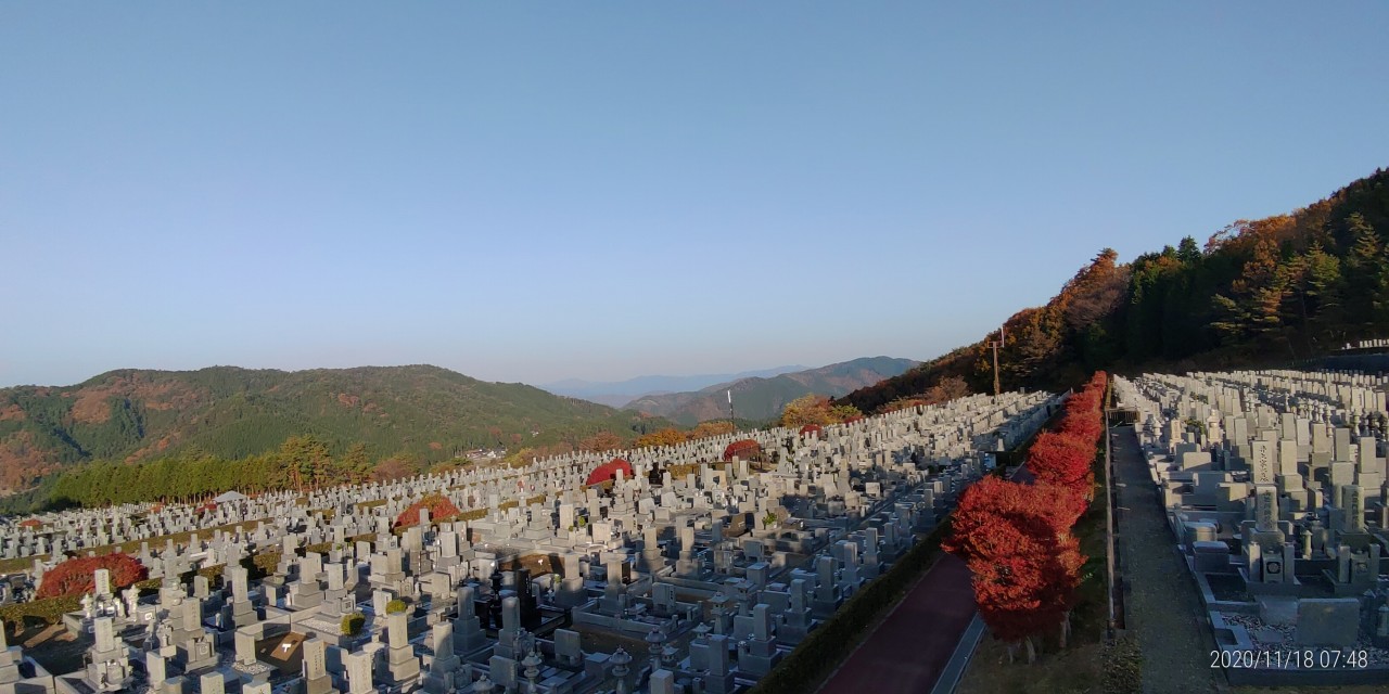 11区7番墓所から園内（北）風景