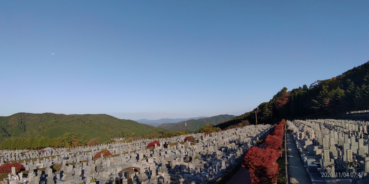 11区7番墓所から園内（北）風景