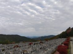 11区7番墓所から園内（北）風景