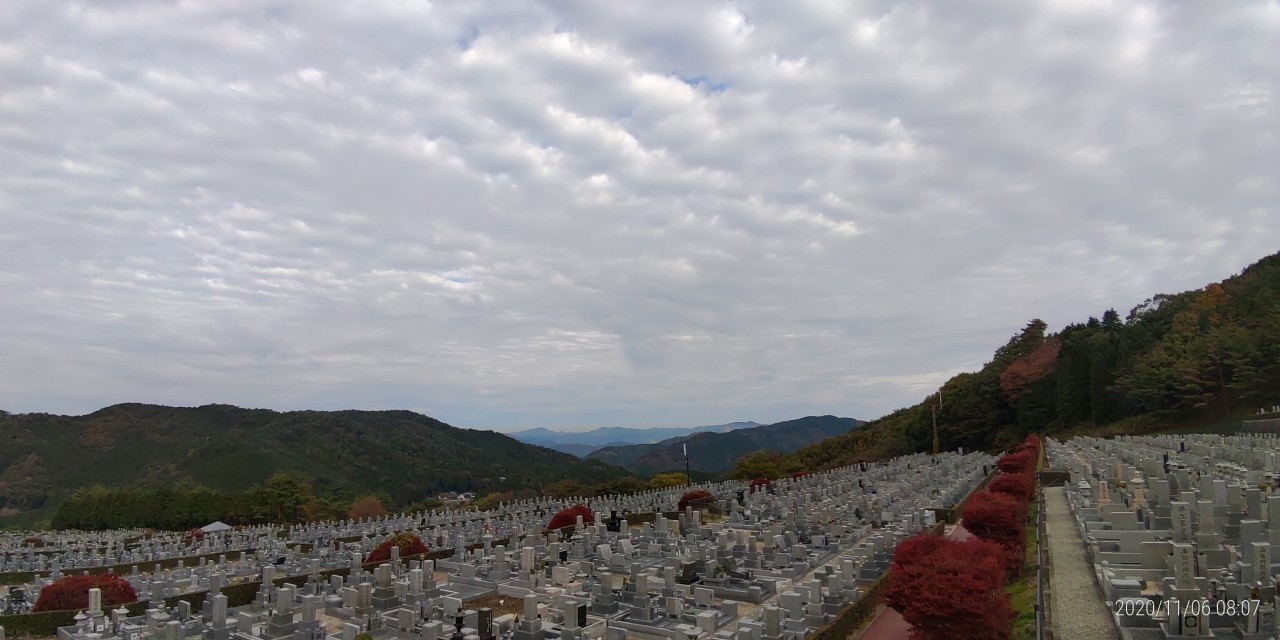 11区7番墓所から園内（北）風景