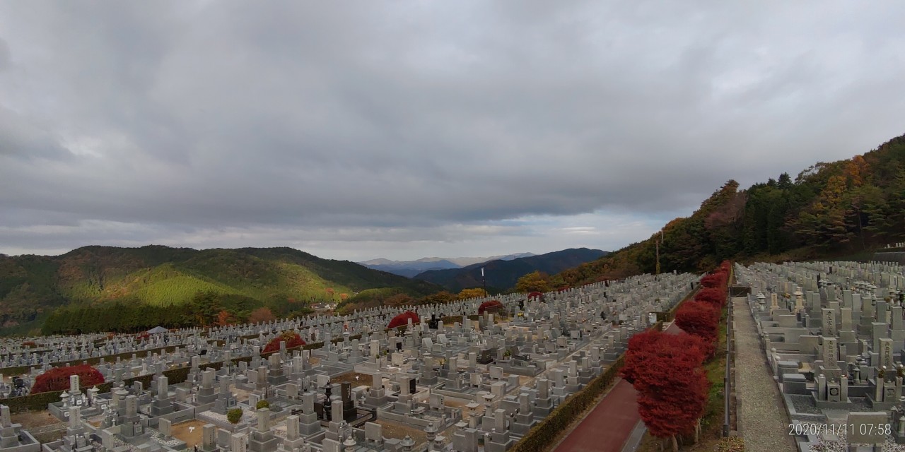 11区7番墓所から園内（北）風景