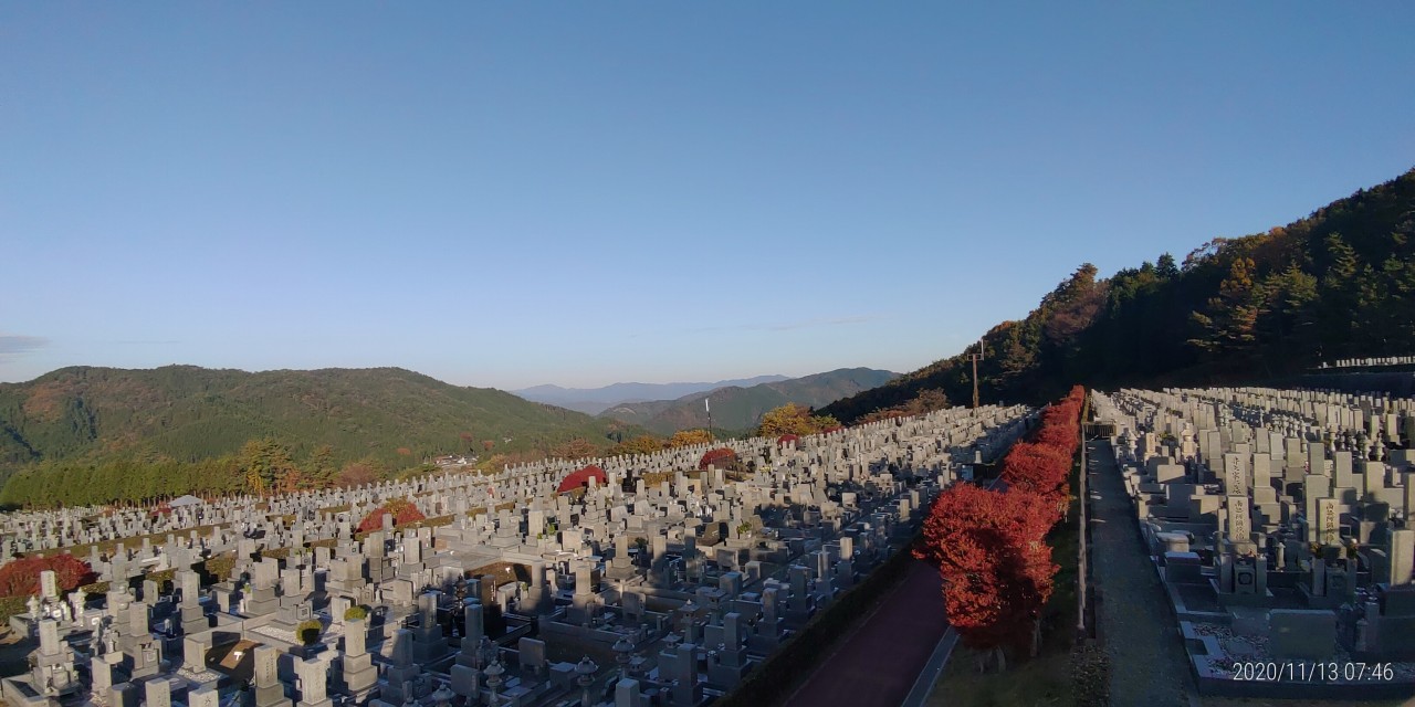 11区7番墓所から園内（北）風景