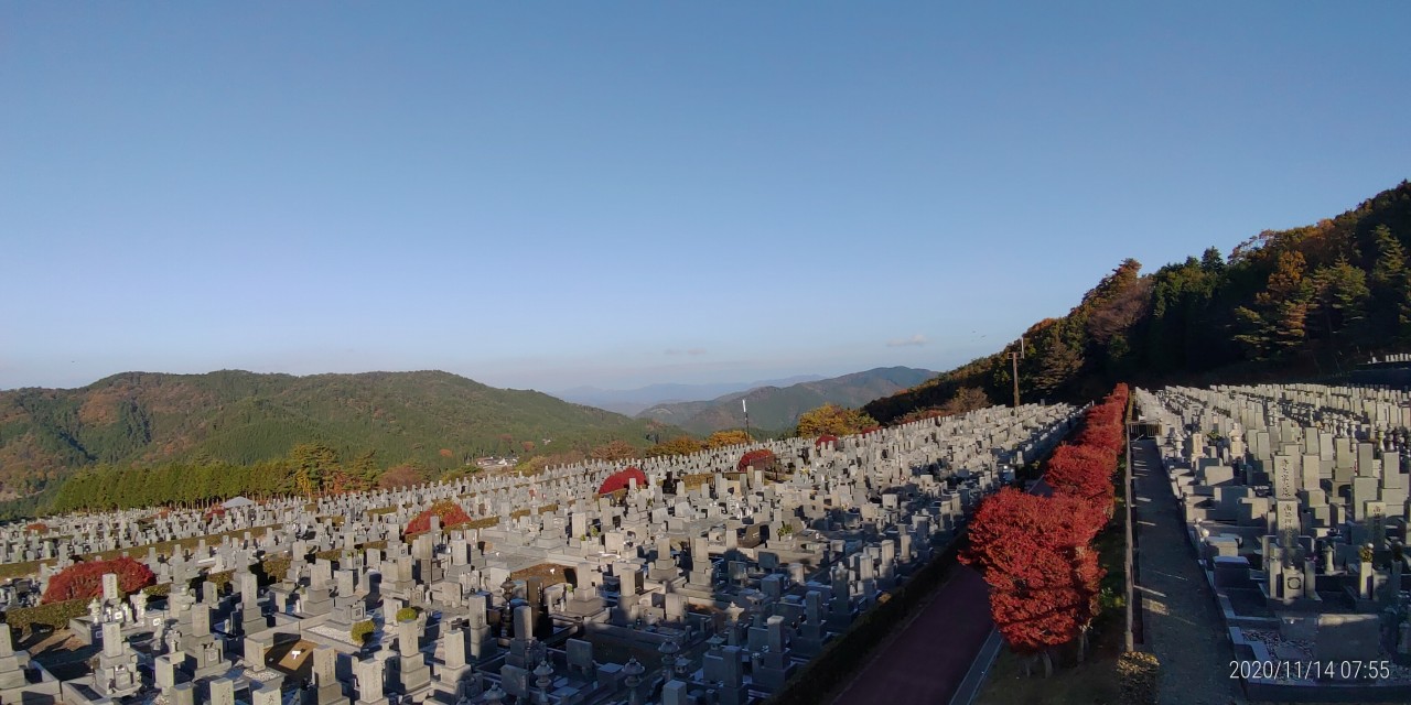 11区7番墓所から園内（北）風景