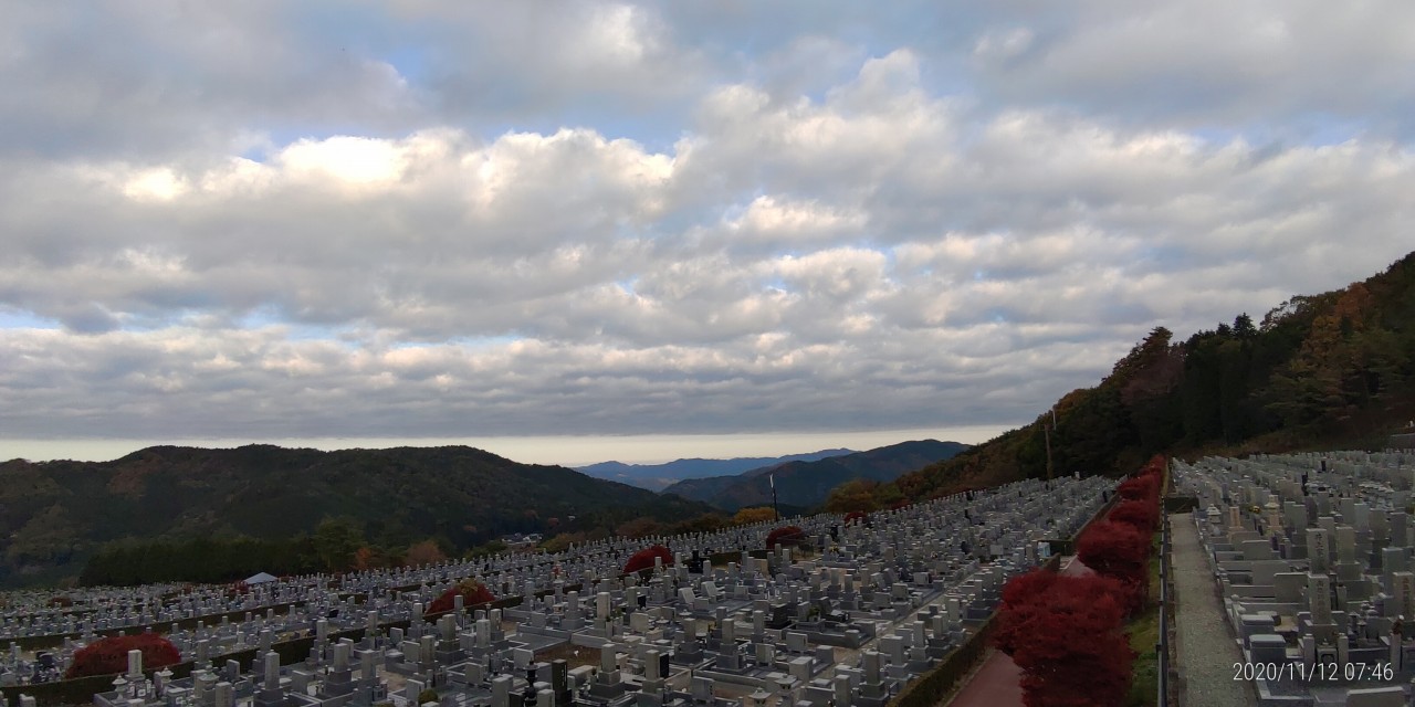 11区7番墓所から園内（北）風景