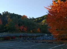 8区7番駐車場から階段墓域風景