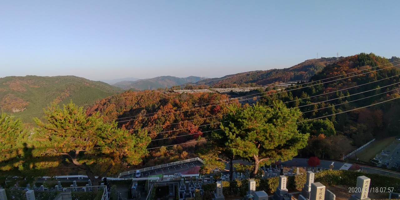 8区4番枝道駐車場から園内風景