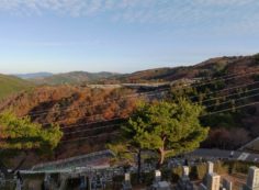 8区4番枝道駐車場から園内風景