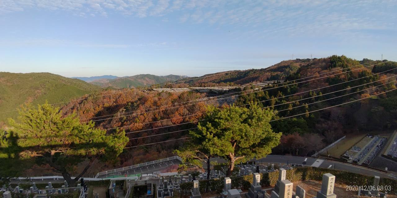 8区4番枝道駐車場から園内風景