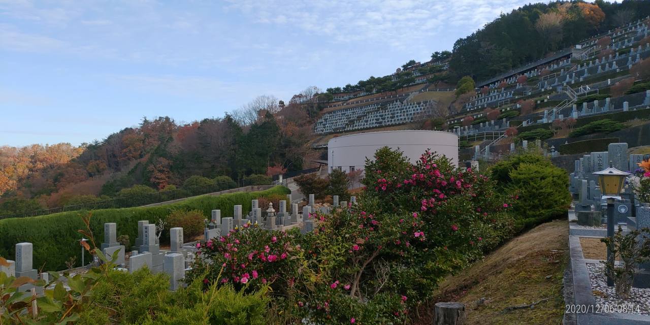 7区1番墓所（山茶花）風景