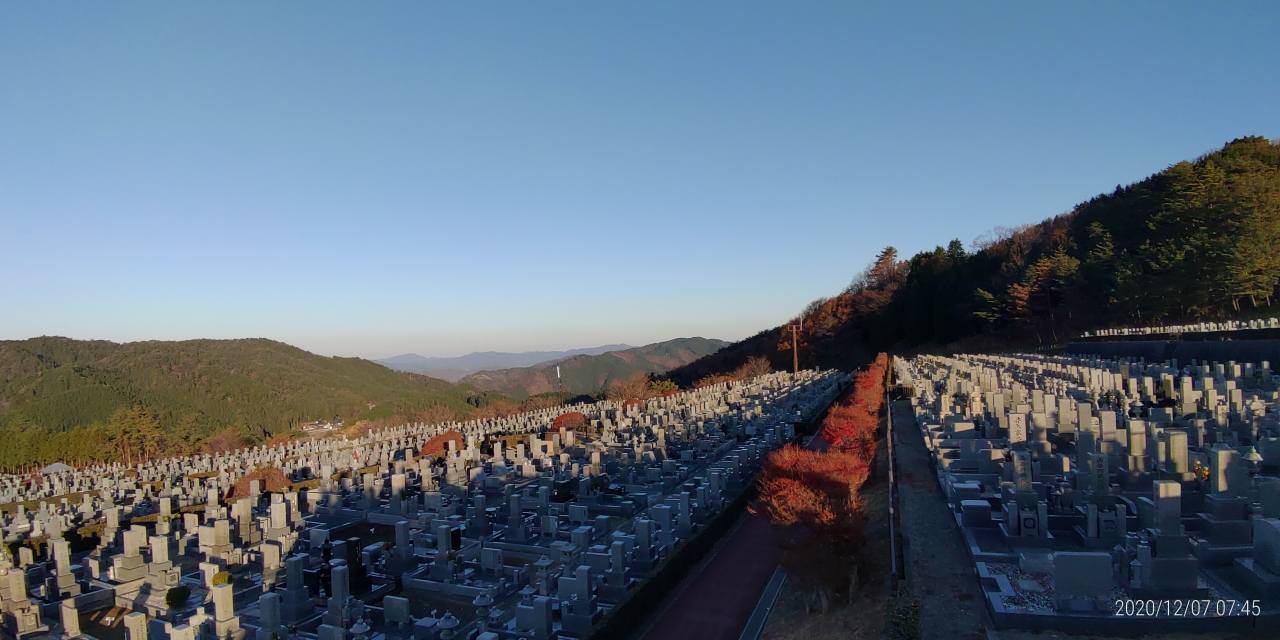 11区7番墓所から園内（北）風景