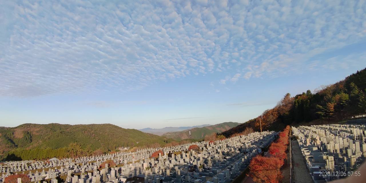 11区7番墓所から園内（北）風景