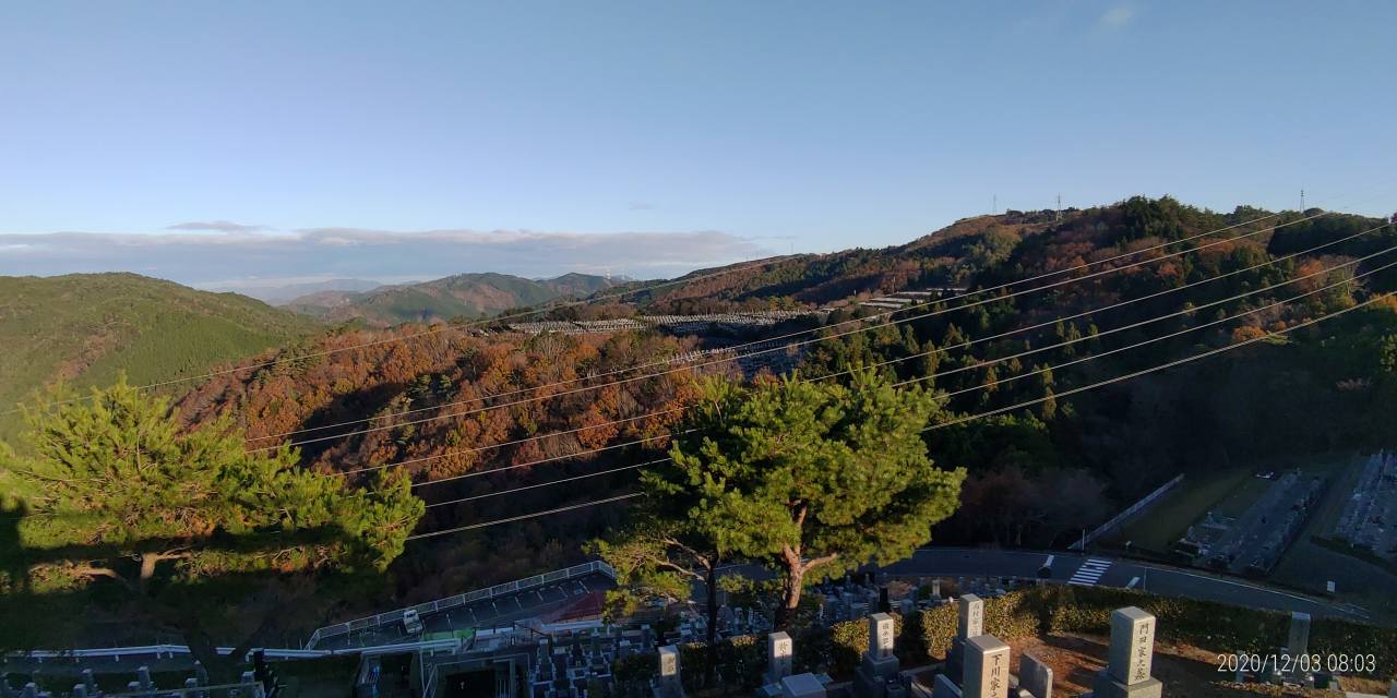 8区4番枝道駐車場から園内（北）風景