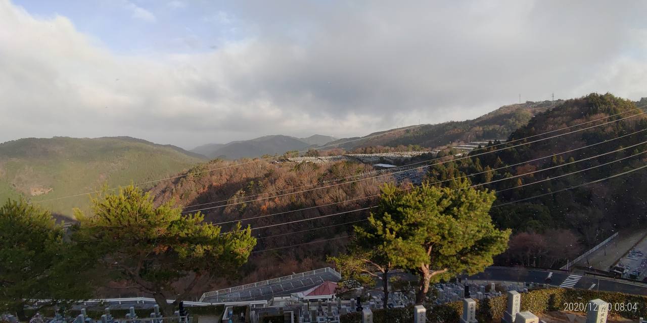 8区4番枝道駐車場から園内（北）風景