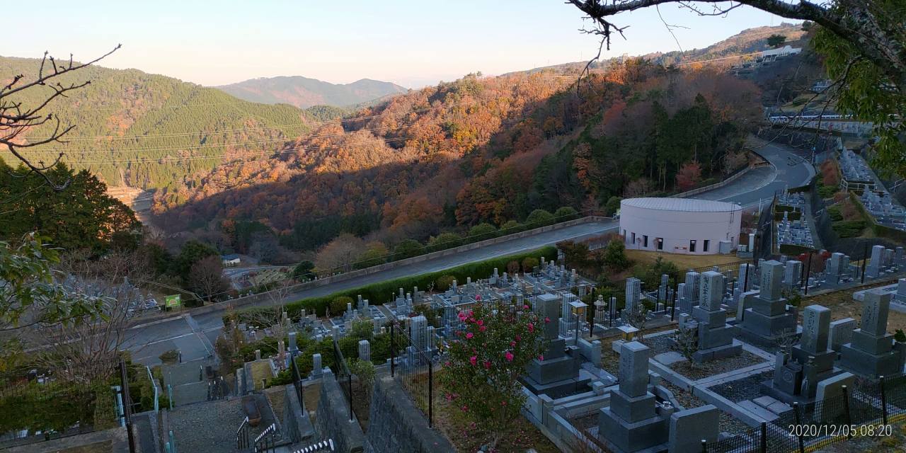 7区1/2番墓所枝道からの風景