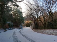 バス通り・八天の森バス停風景