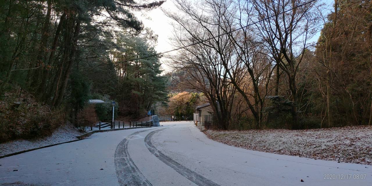 バス通り・八天の森バス停風景