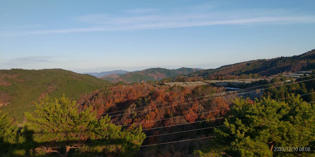 顔団墓所・8区4番枝道駐車場（北）風景