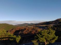 8区4番枝道駐車場から園内風景