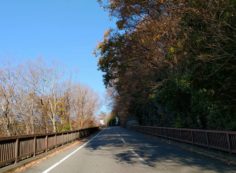 バス通り・10区バス停手前風景