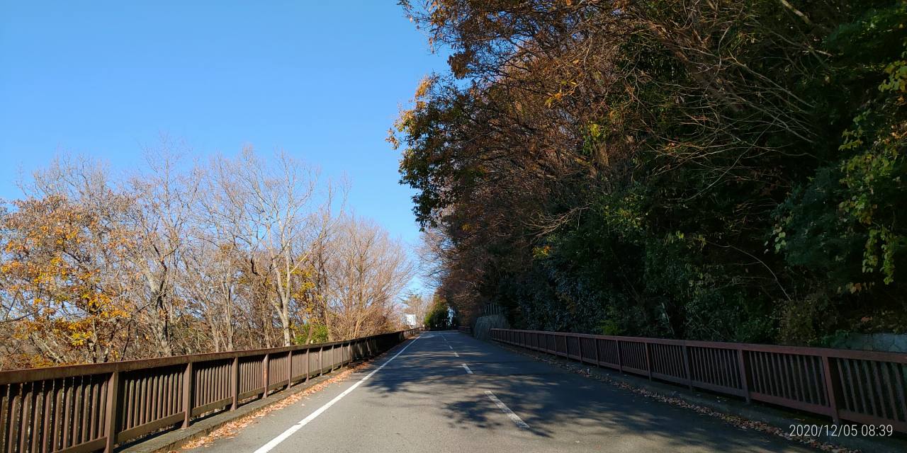 バス通り・10区バス停手前風景