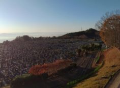 11区1番墓所から園内（南）風景