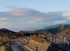 霊園北入口から園内風景