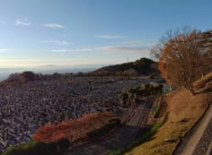 11区1番墓所から園内（南）風景