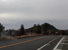 バス通り・園内1区墓所（南）方向