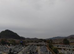 11区7番墓所から園内（南西）風景