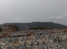 11区7番墓所から園内（西）風景