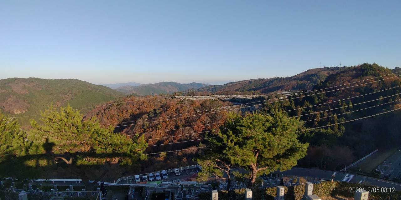 8区4番枝道駐車場から園内風景