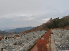 11区7番墓所から園内（北）風景