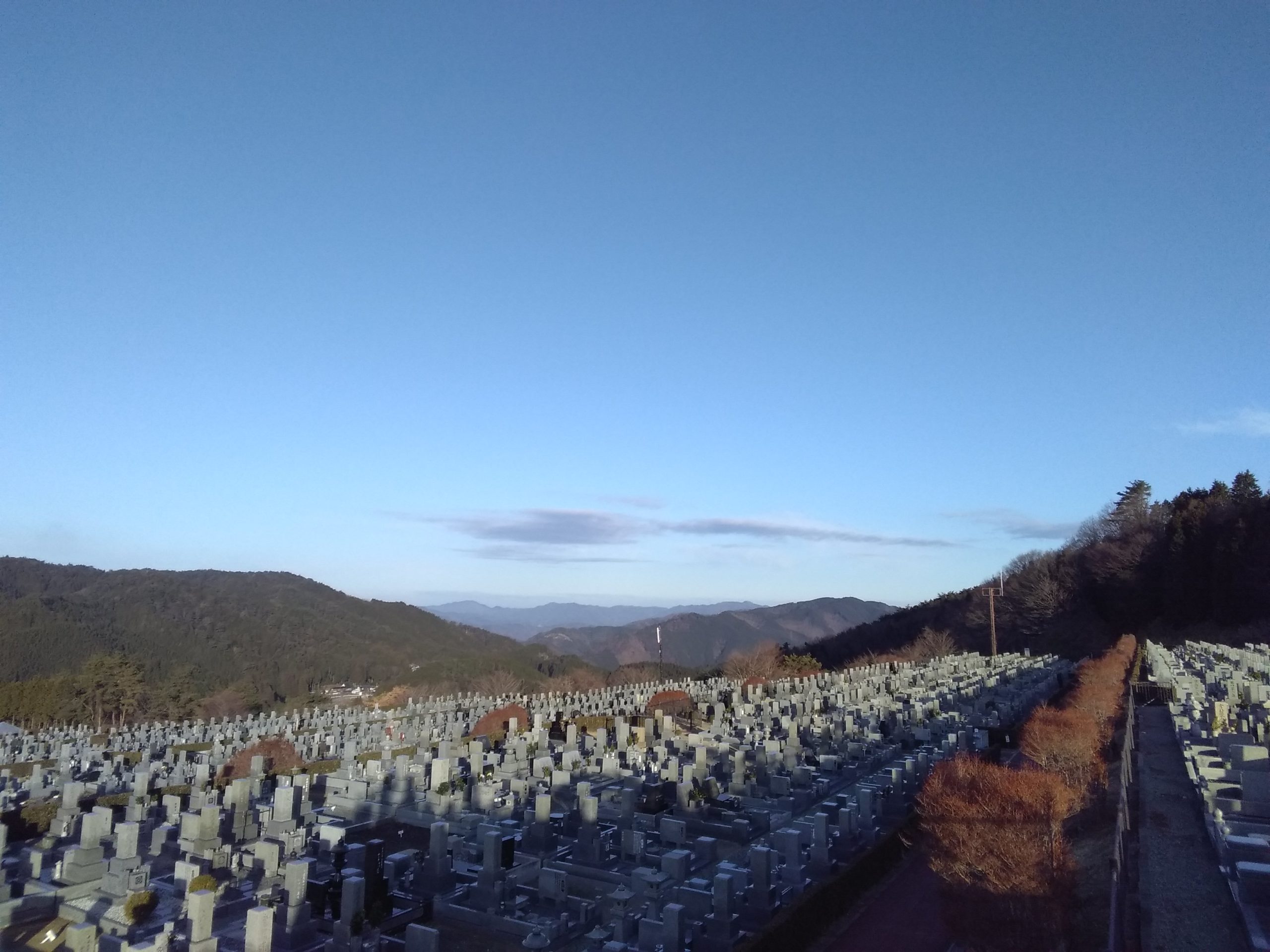 11区7番墓所から園内（北）風景