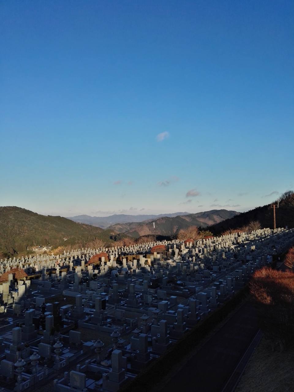 11区7番墓所から園内（北）風景