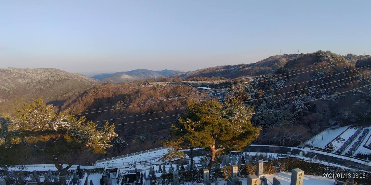 8区4番枝道駐車場から園内（北）風景