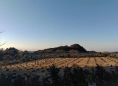 霊園北口休憩所から園内風景（1区墓所）