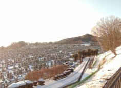 11区1番墓所から園内（南）風景