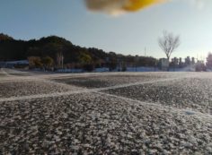 バス通り・（北東向）1区4番墓域風景（路面凍結）